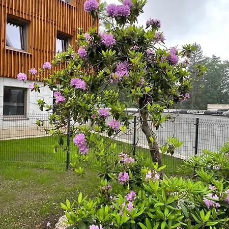 Apartmán Stone Hill Sklářská Poruba