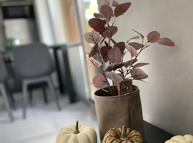 Stone Hill * Szklarska Poreba